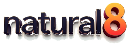 natural8 logo